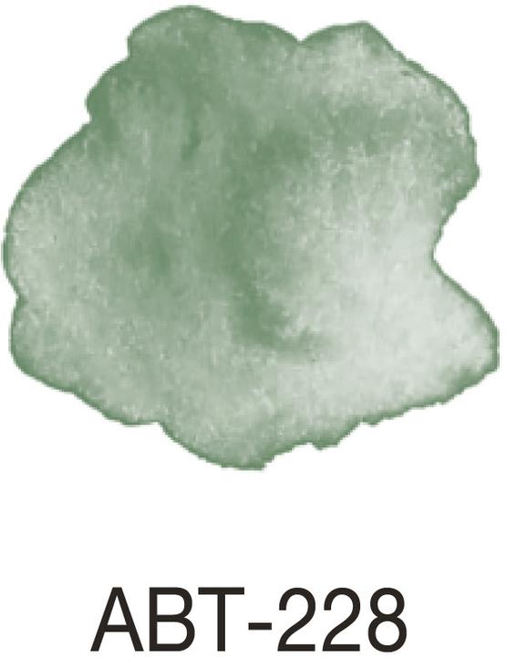 Actual product image Tombow ABT Dual Brush Pen (1 x)