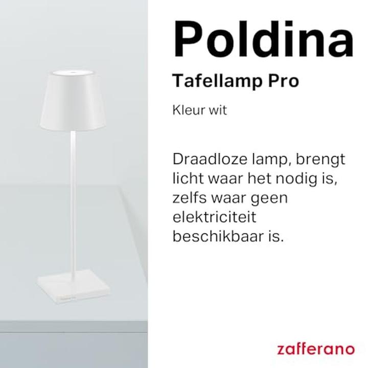 Actual product image Zafferano Poldina Pro (200 lm)