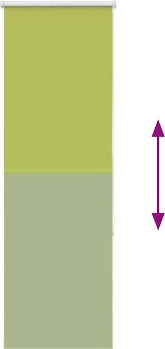 Actual product image vidaXL Verdunkelungsrollo (60 x 130 cm)