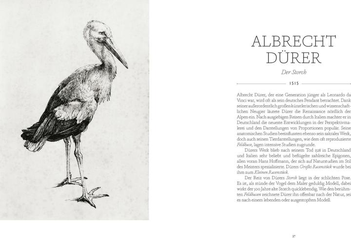 Actual product image Vögel in der Kunst (German, Kendra Wilson, 2020)