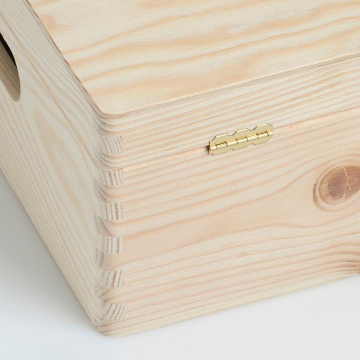 Actual product image Zeller Present All-purpose box (30 cm, 17 l, 1x)