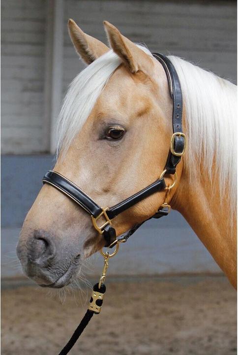 Immagine prodotto Harry's Horse Cavezza per cavalli in pelle con profili