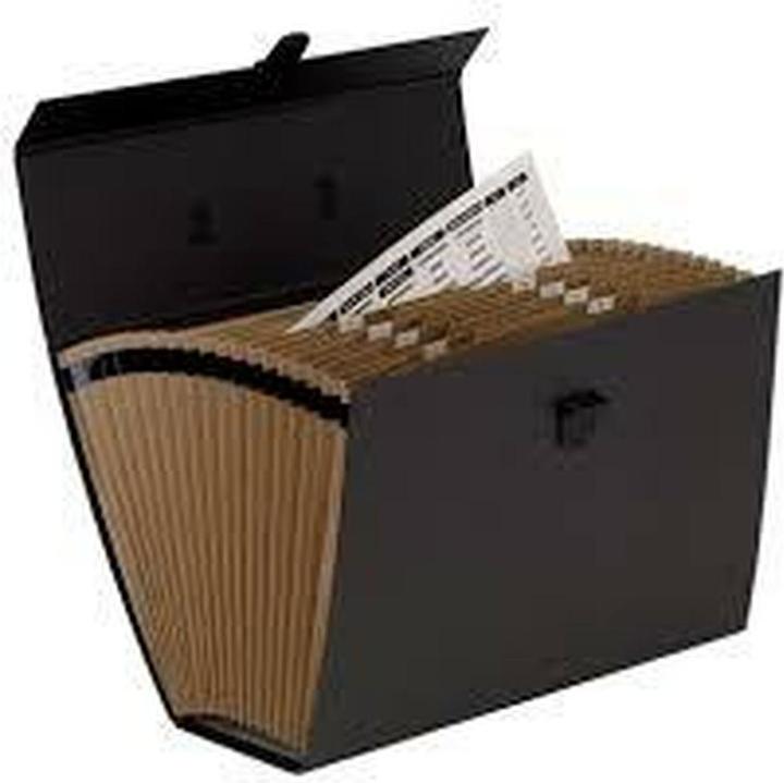Image du produit Fellowes Gestionnaire de documents Hanfile (A4, 1x)