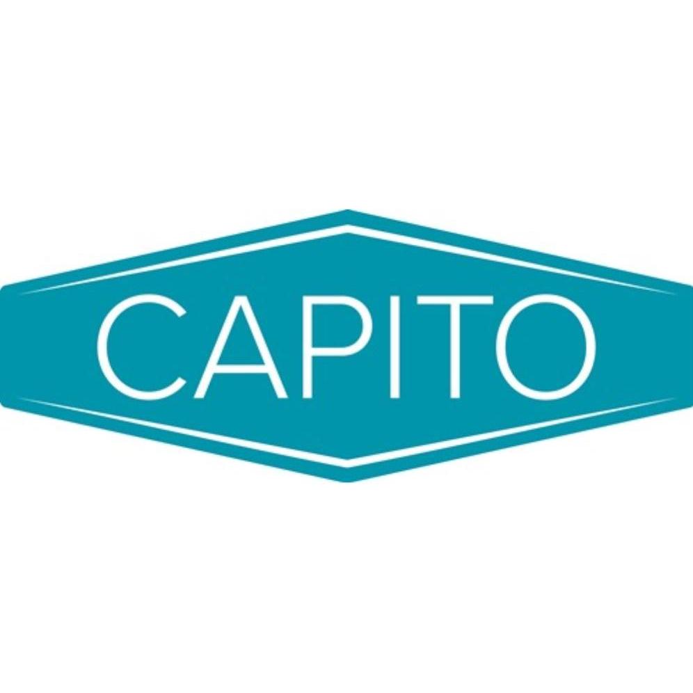 Thumbnail - Capito, Schubkarre, Muldenschrauben verzinkter Stahl L40xBxH20mm f.