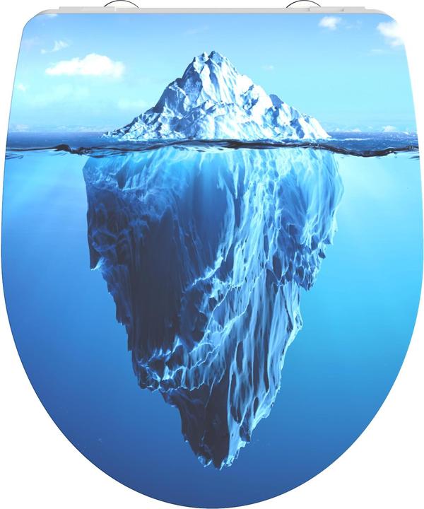 Iceberg
