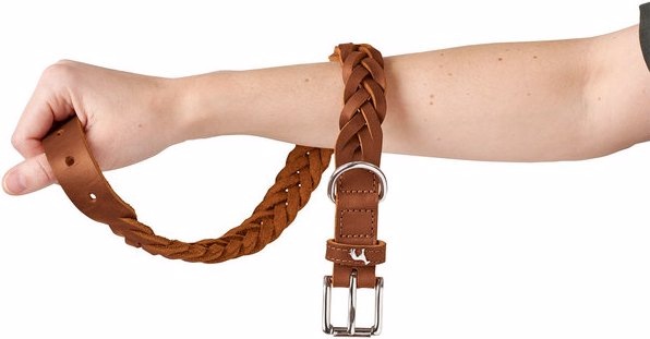 Actual product image Hunter Collar Solid Education Special (33, 34, 35, 36, 37, 38, Dog, General)