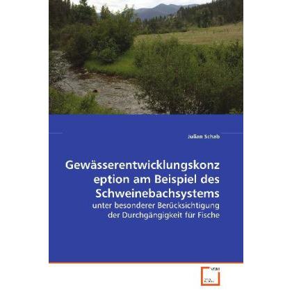 Gewässerentwicklungskonzeption am Beispiel des Schweinebachsystems, Fachbücher von Julian Schab