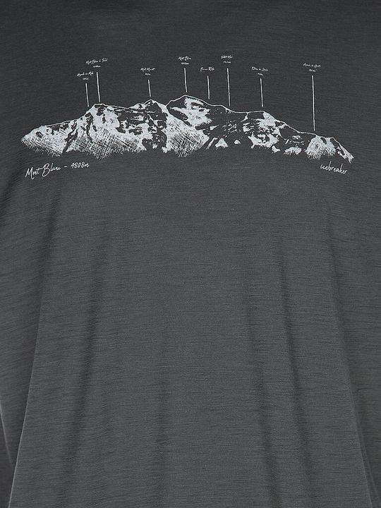 Actual product image Icebreaker Massif Trail Tech (M)