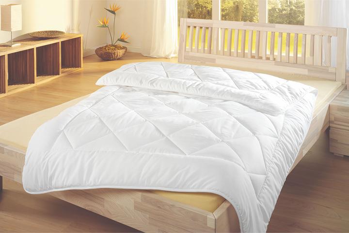 Immagine prodotto Lipo Bamboo (1100 g, 160 x 210 cm)