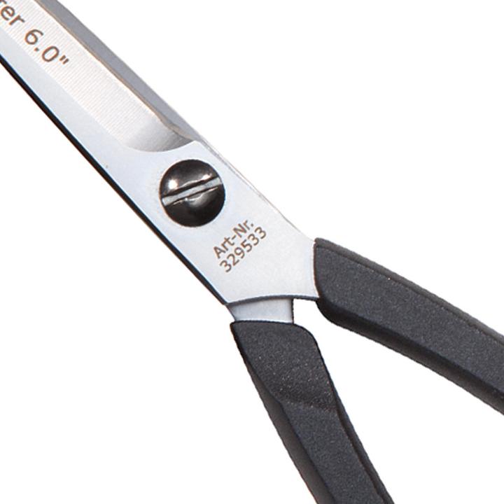 Produktbild Basler Starter (15.24 cm)