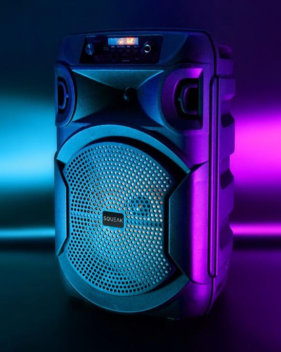 Actual product image Squeak Głośnik Karaoke Pulsetower Bluetooth 5.3 Radio Fm Microsd Aux USB Sq1006 (7 h)