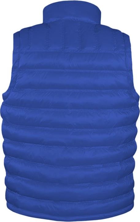 Image du produit Regatta Gilet matelassé Ice Bird Bodywarmer (XXL)