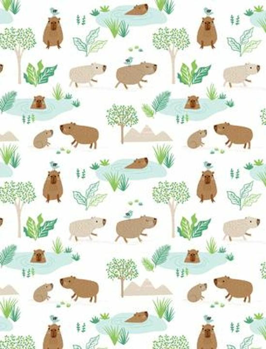 Actual product image Capybara Midi-Notizbuch (A5, Lined, Hardcover)