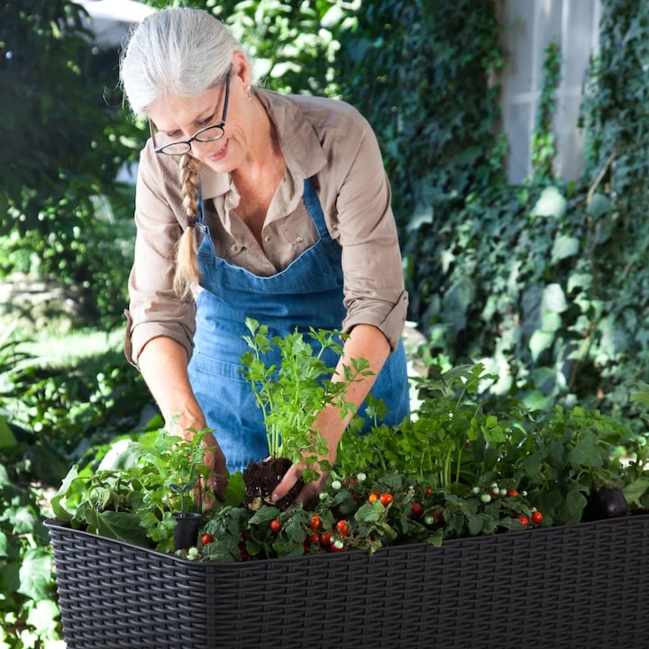 Produktbild Keter Easy Growing