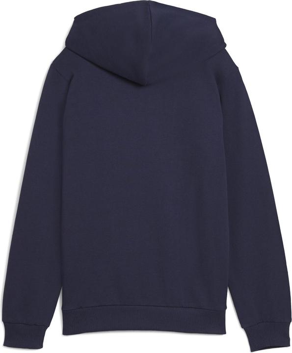 Actual product image Puma teamGOAL Casuals Hoody Jr (164)