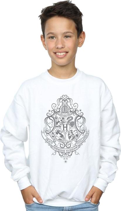 Actual product image Boys Hogwarts Draco Dormiens Crest Sweatshirt (152, 158)