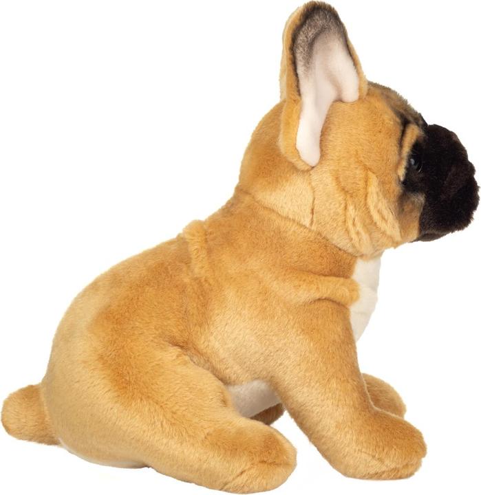 Actual product image Teddy Hermann 919872 - French bulldog, favourite dog cuddly toy, 27 cm (22 cm)