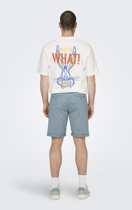 Produktbild Only & Sons Peter Life