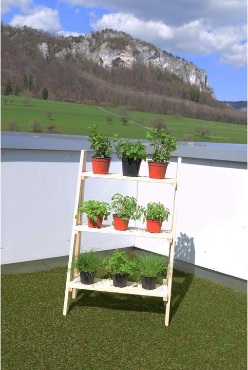 Immagine prodotto DIY-Wood Scale fiorite
