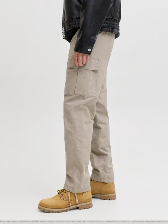 Actual product image Jack & Jones Loose Fit Cargo-Hose Cargo-Hose (W31/L30)