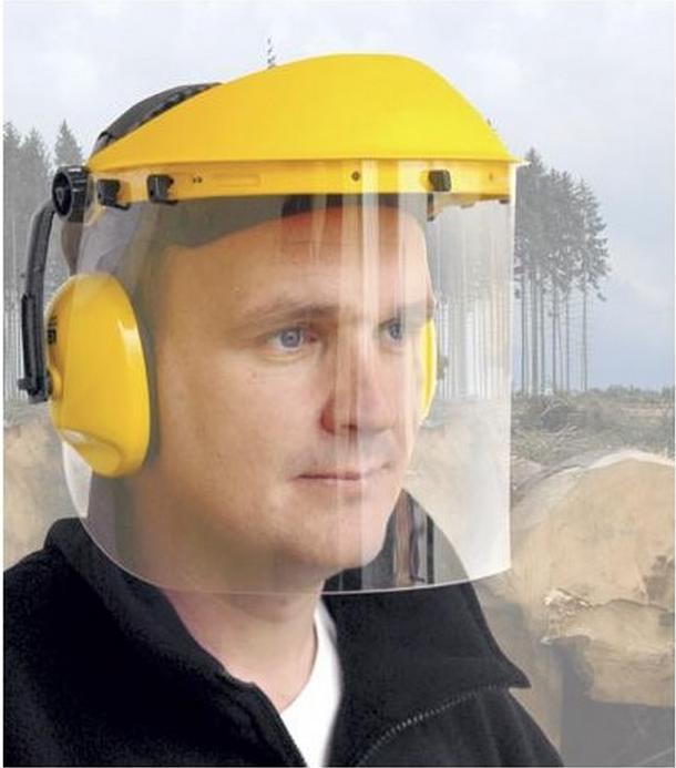 Immagine prodotto Portwest Paraorecchie e visiera (1 x)