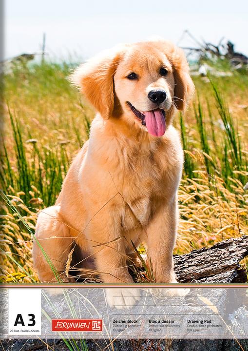 Immagine prodotto Brunnen Blocco da disegno DIN A3 100g/m² 20 fogli (A3)