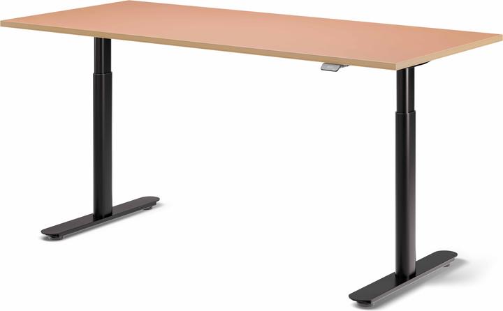 Produktbild ofinto Rise