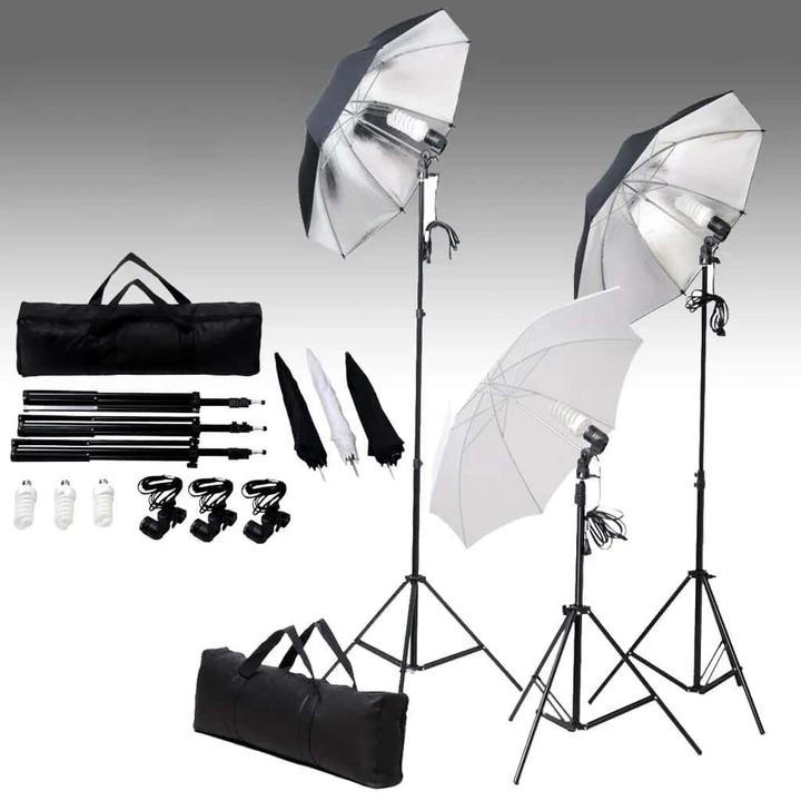 Actual product image vidaXL Studiobeleuchtung (Studio light)