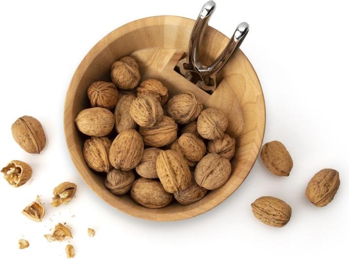 Actual product image Continenta Nut shell with cracker, gum tree