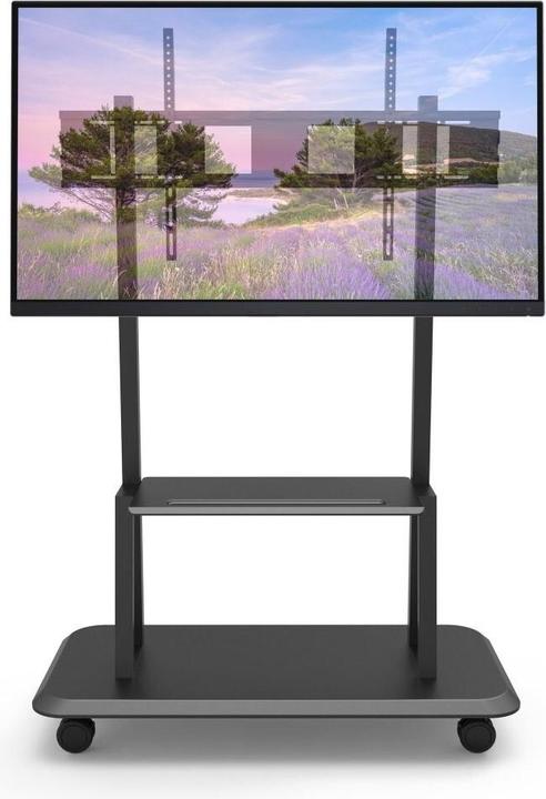 Image du produit Techly Chariot - pour écran plat - noir (55"-120") (150 kg, 55" - 120")