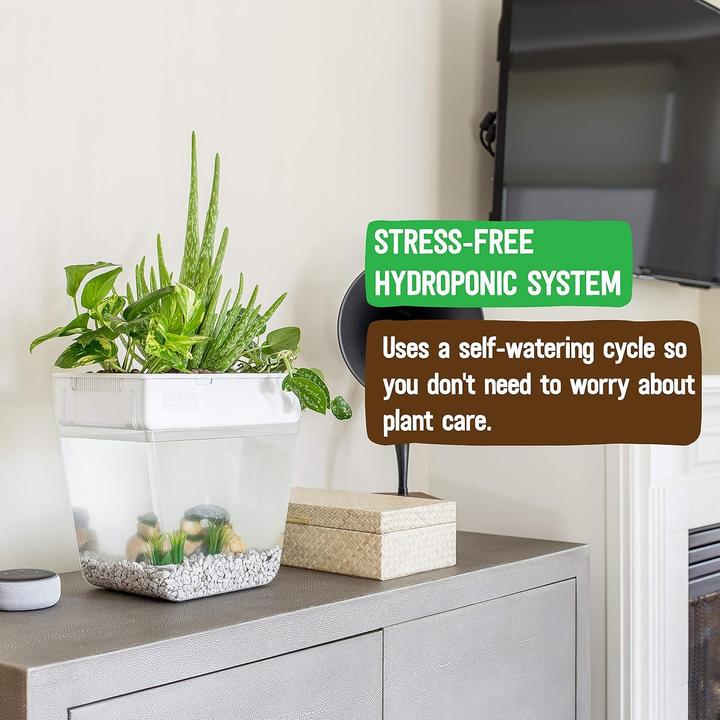 Actual product image Back to the roots voor kruiden, microgreens, bamboe, vetplanten en kamerplanten, groen, 3 gallons