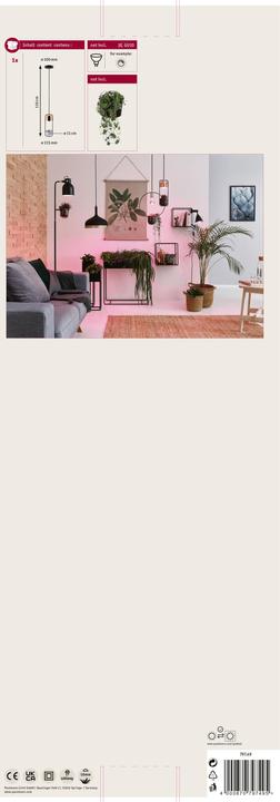 Produktbild Paulmann Fanja (GU10)