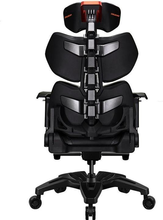 Actual product image Cougar Terminator