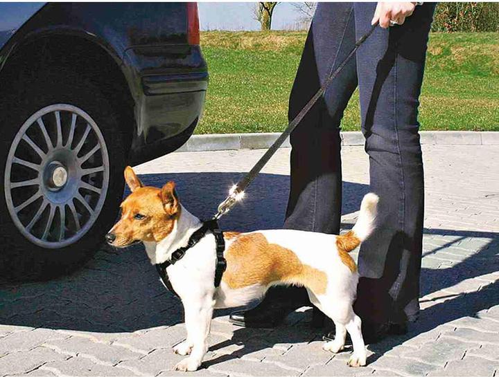 Produktbild Trixie Auto-Geschirr (Hund, Reflektoren)