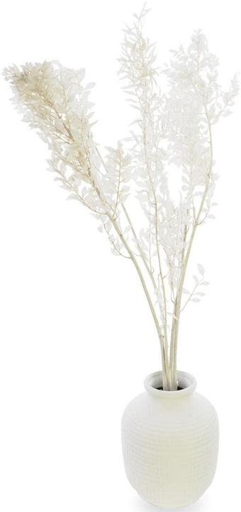 Immagine prodotto Soli Collection Fiori secchi Ruscus 70-75 cm, Bianco (Fiori secchi)