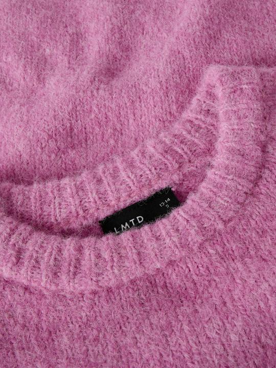 Produktbild Lmtd Regular Fit Strickpullover (158, 164)