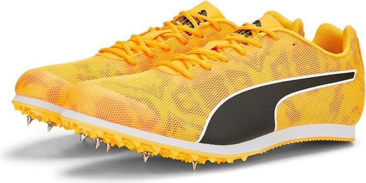 Image du produit Puma evoSPEED Star 8 (40.5)