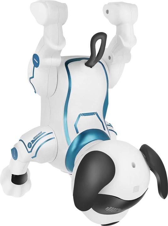 Actual product image Maxlife Hund MXRD-100