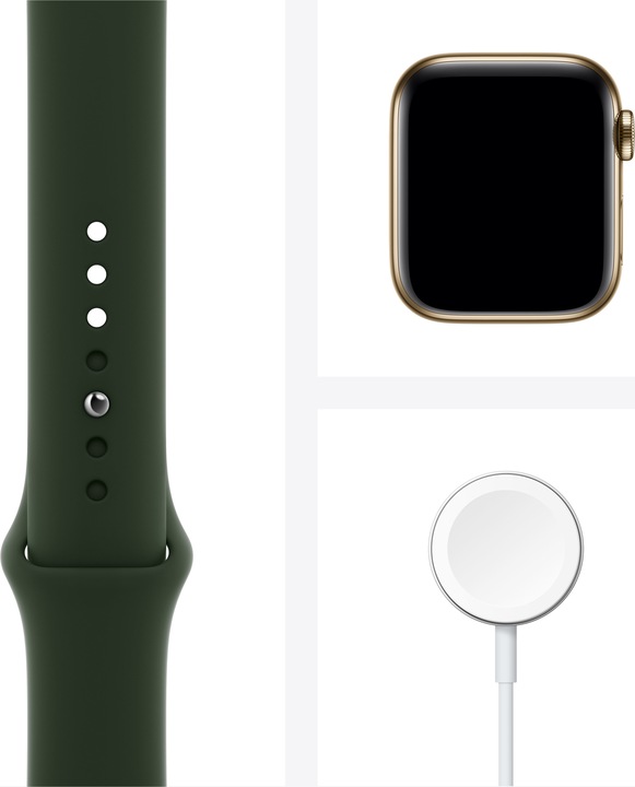 Produktbild Apple Watch Series 6 (40 mm, 4G)