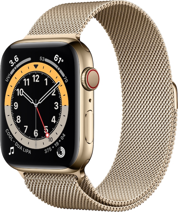 Apple Watch Series 6 (44 mm, 4G)