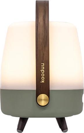Actual product image Kooduu Speaker lamp lite up JBL mini petroleum