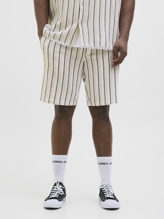 Actual product image Jack & Jones Jpstjaiden Coba Stripe Jog Short Sn Pls (42)