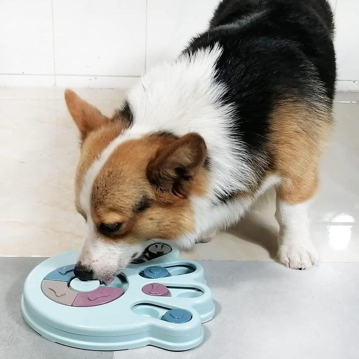 Out of the blue Hundepuzzle-Spielzeug, Hundefutter-Puzzle-Feeder-Spielzeug  fr IQ-Training