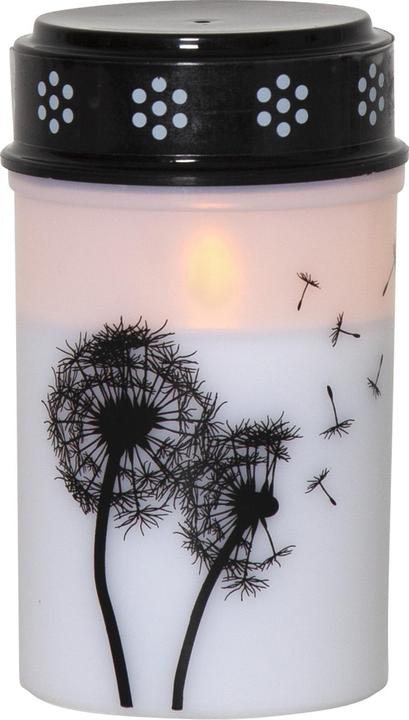 Star Trading LED Grablicht Dandelion (1x)