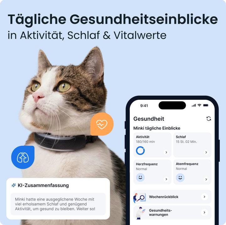 Actual product image Tractive CAT 6 mini (Cat)