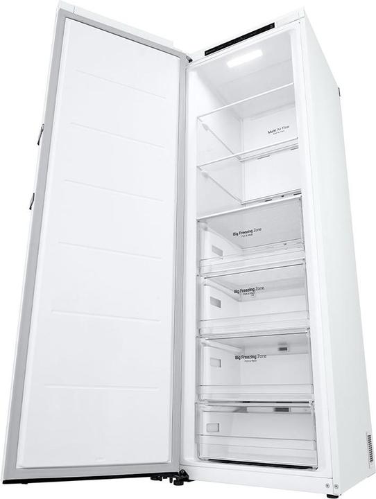 Actual product image LG GFT41SWGSZ (Stand-alone, 324 l)