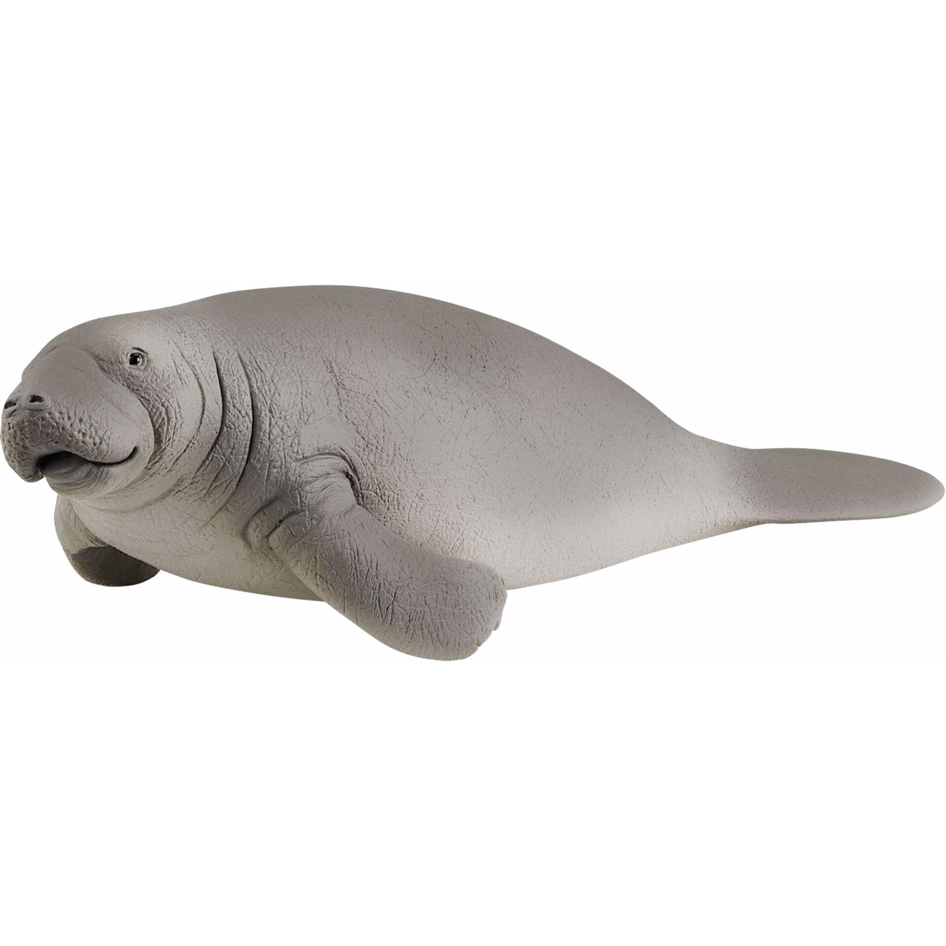 Schleich Seekuh