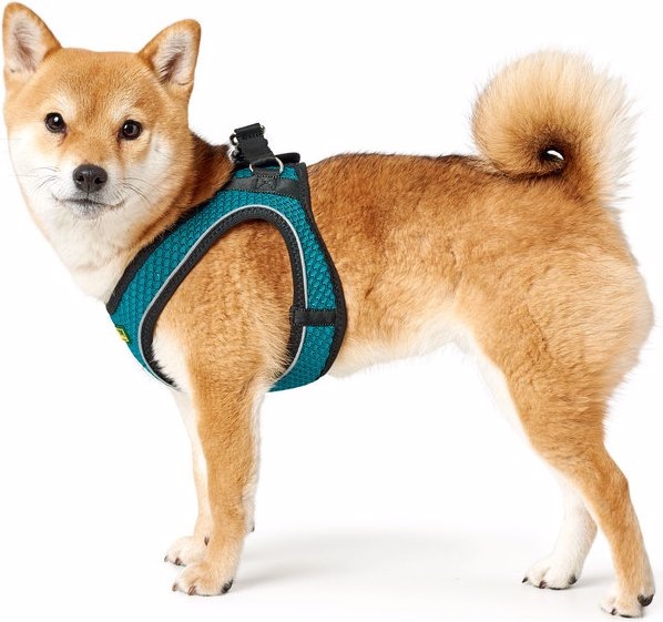 Image du produit Hunter Harnais pour chien Hilo Comfort (XS, S, Chien, Sport canin)