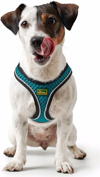 Image du produit Hunter Harnais pour chien Hilo Comfort (XS, S, Chien, Sport canin)