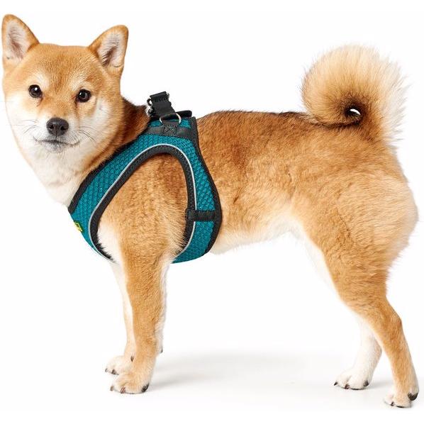 Thumbnail - Hunter Hundegeschirr Hilo Comfort (S, Hund, Allgemein), Halsband + Leine